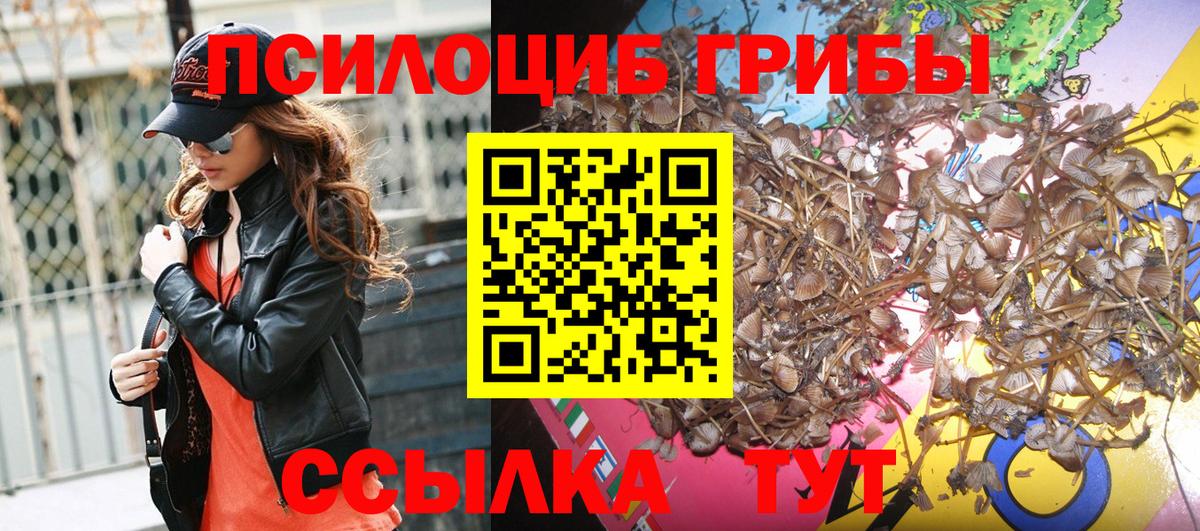 Псилоцибиновые грибы Magic Shrooms Алейск
