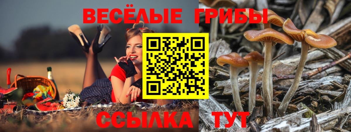 Галлюциногенные грибы мухоморы  Галлюциногенные грибы Cubensis  Вход с VPN  купить закладку  Алейск 